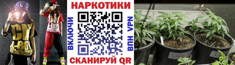 Наркошоп купить СК  COCAIN  ГАШ  Метадон  Бошки Шишки  Меф мяу мяу  Реутов