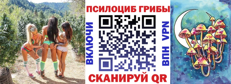 Псилоцибиновые грибы Psilocybine cubensis  Купить где  Реутов 